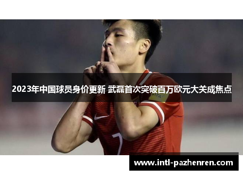 2023年中国球员身价更新 武磊首次突破百万欧元大关成焦点 2023年中国球员身价更新 武磊首次突破百万欧元大关成焦点