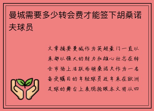 曼城需要多少转会费才能签下胡桑诺夫球员