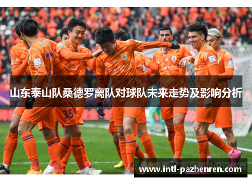 山东泰山队桑德罗离队对球队未来走势及影响分析 山东泰山队桑德罗离队对球队未来走势及影响分析