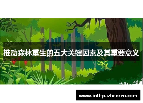 推动森林重生的五大关键因素及其重要意义